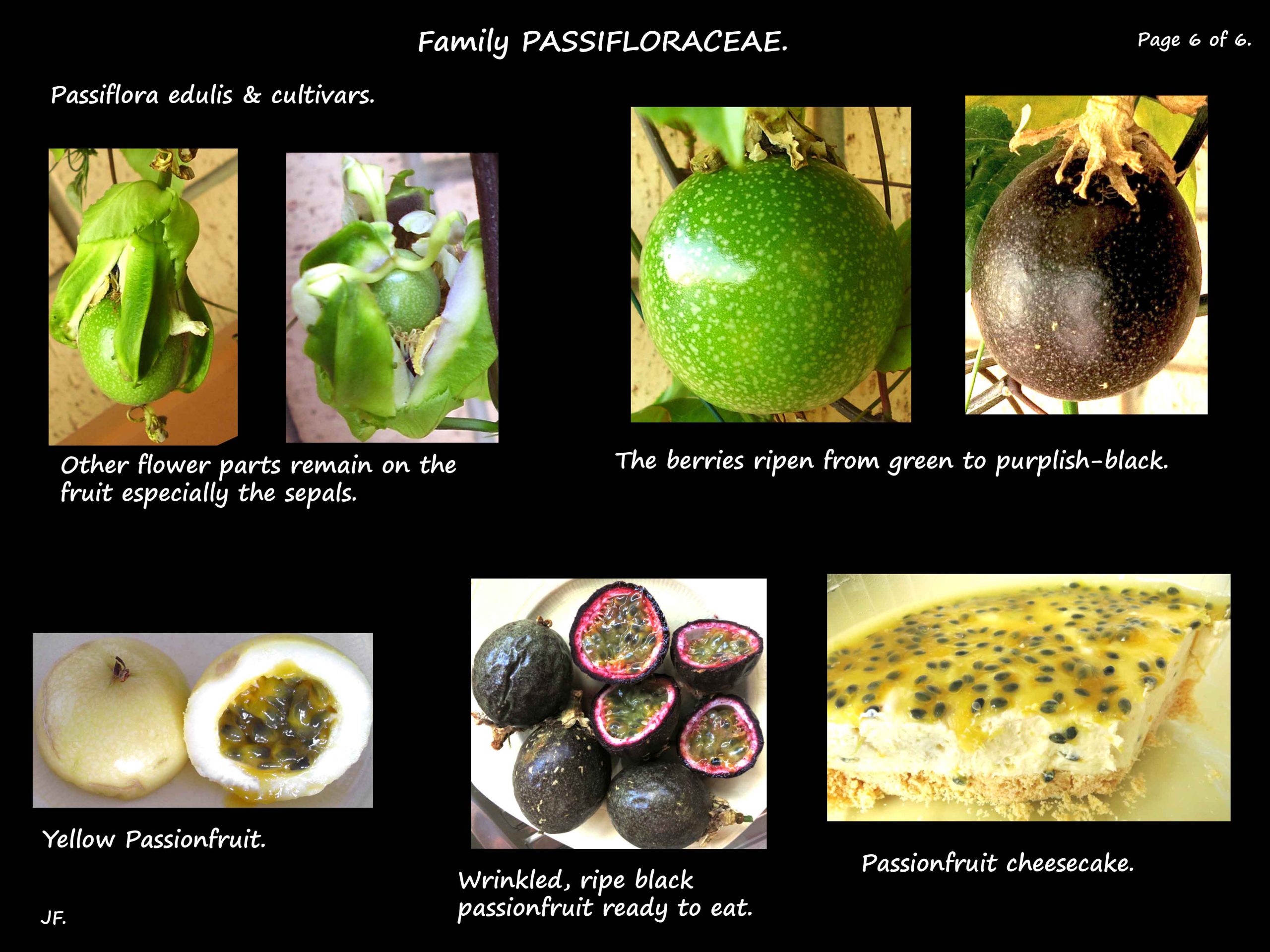 6 The common passionfruit